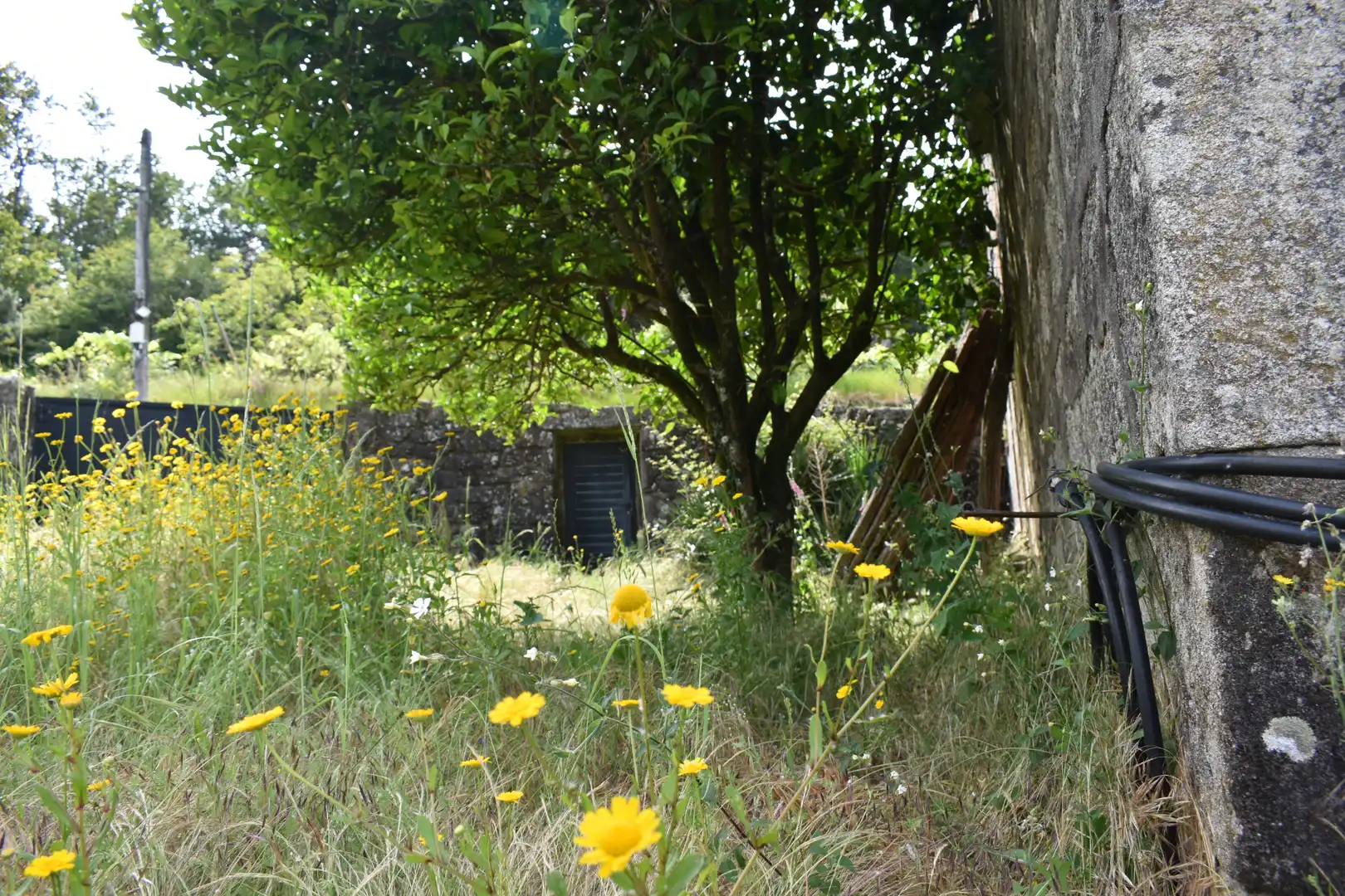 House with garden for sale in Lugar O Teso, imagen 14