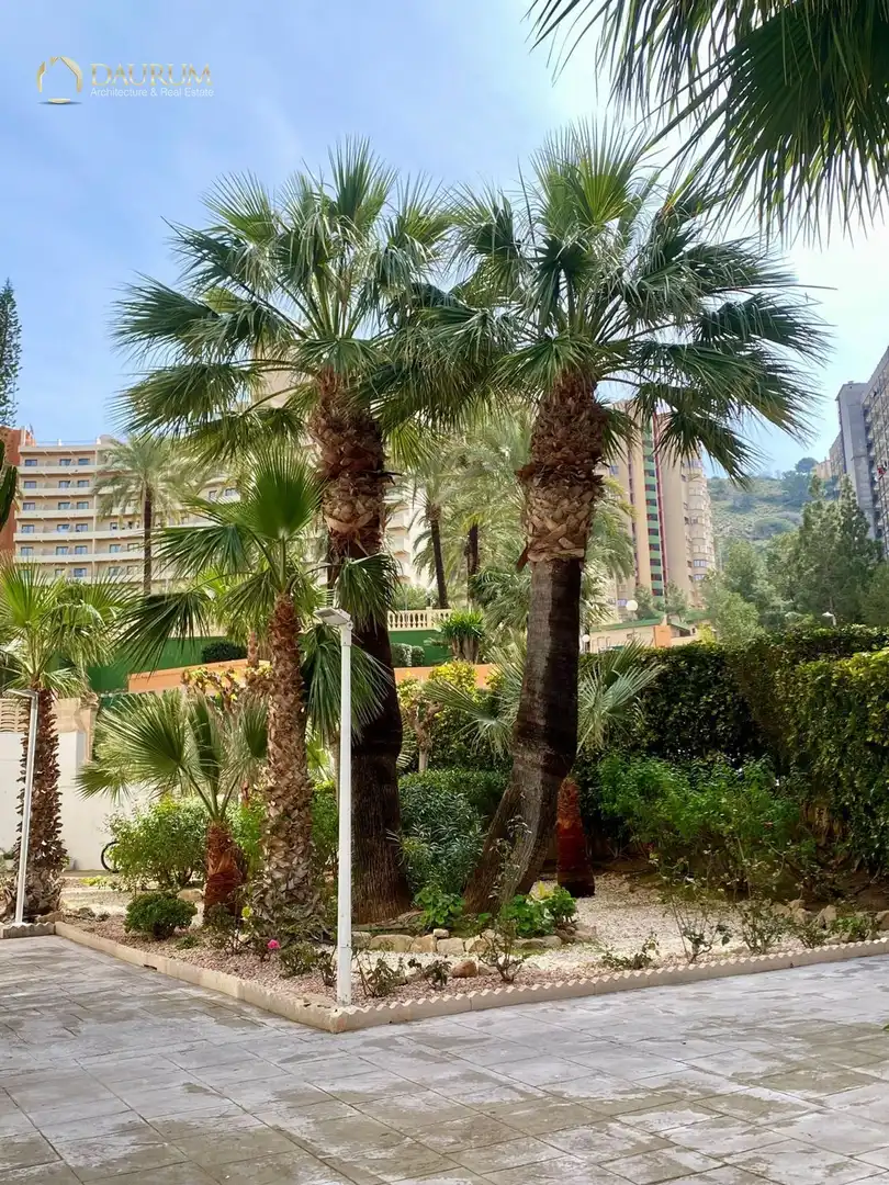Appartamento con piscina in vendita a CALLE DE VIENA, 1, imagen 38