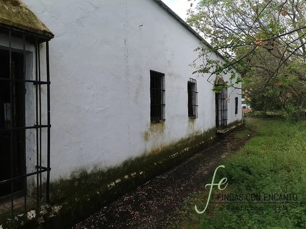 Vista exterior de Finca rústica en venda en Marchena amb Aire condicionat, Terrassa i Piscina