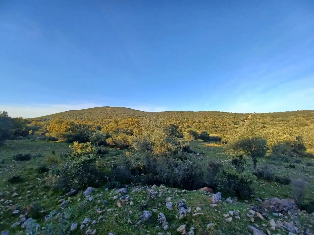 Grundstücke zum Verkauf in Peraleda del Zaucejo