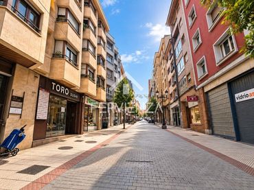 Pis amb ascensor en venda a Centro - Casco Histórico