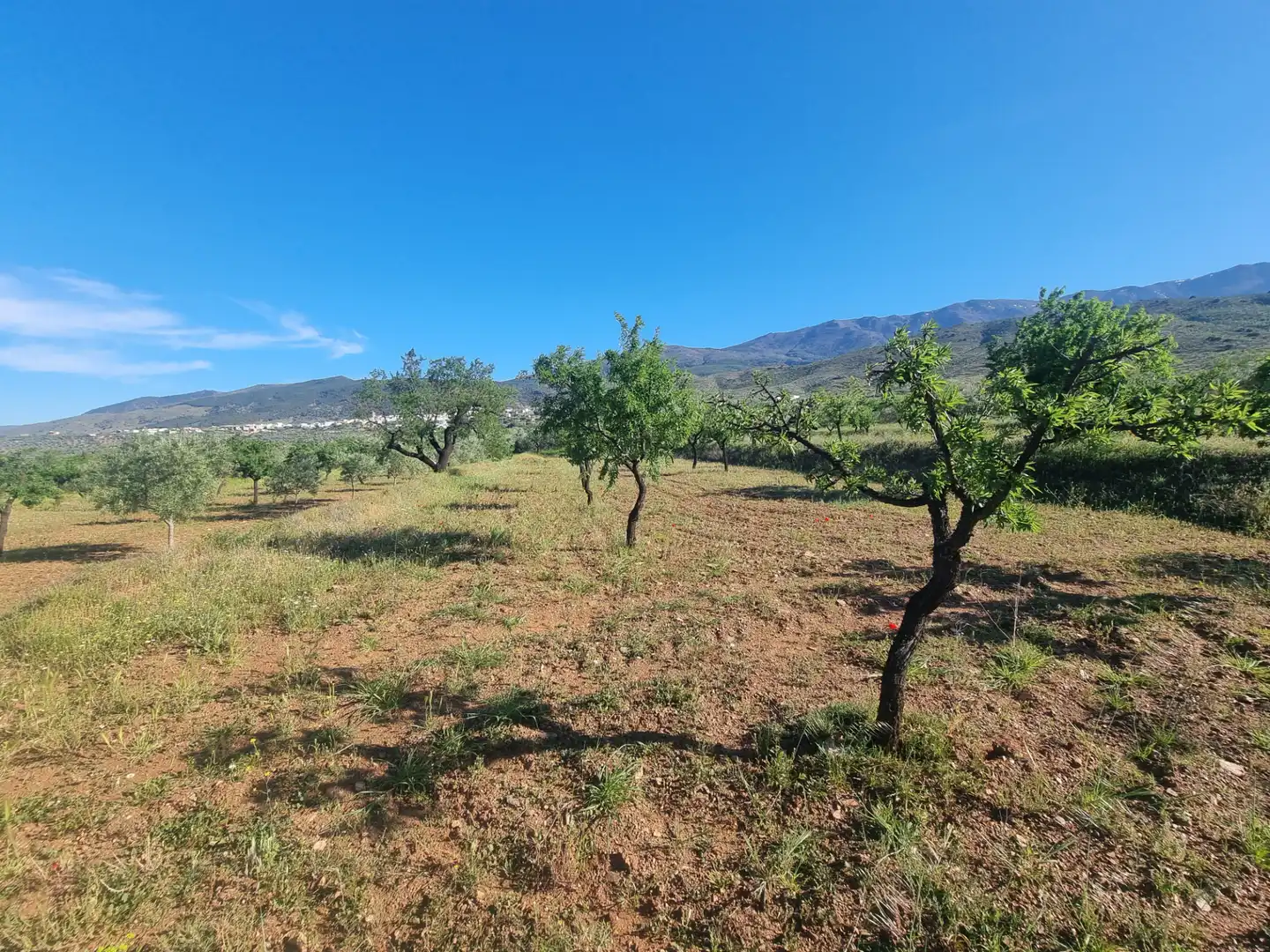 Terreno en venta en Abrucena