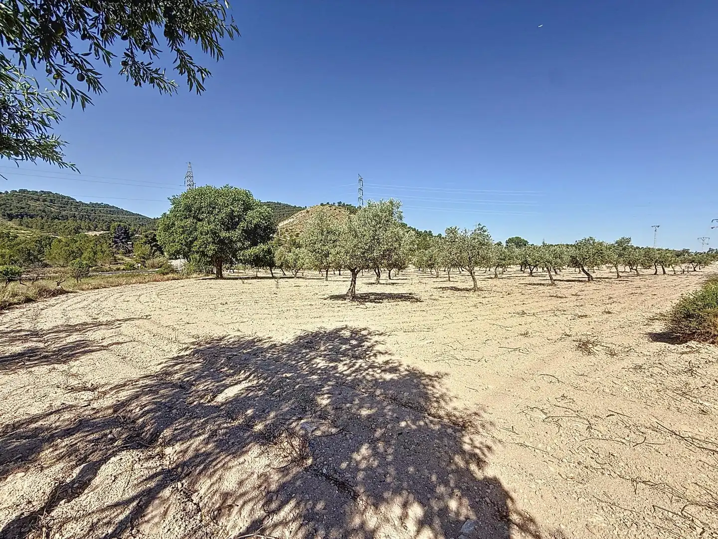 Terreno en venta en Biar