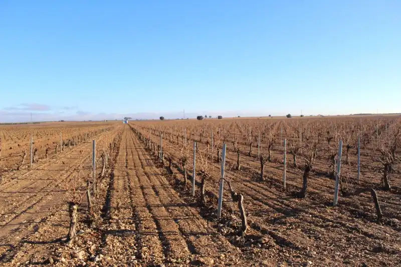 Residential zum Verkauf in Socuéllamos