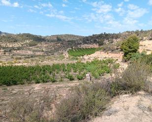 Residencial en venda en Riba-roja d'Ebre