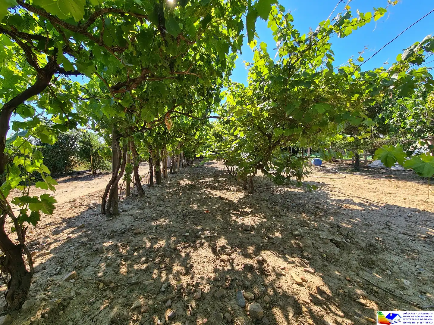 Casa o chalet en venta en Fuente El Saz de Jarama con Aire acondicionado, Calefacción y Jardín privado