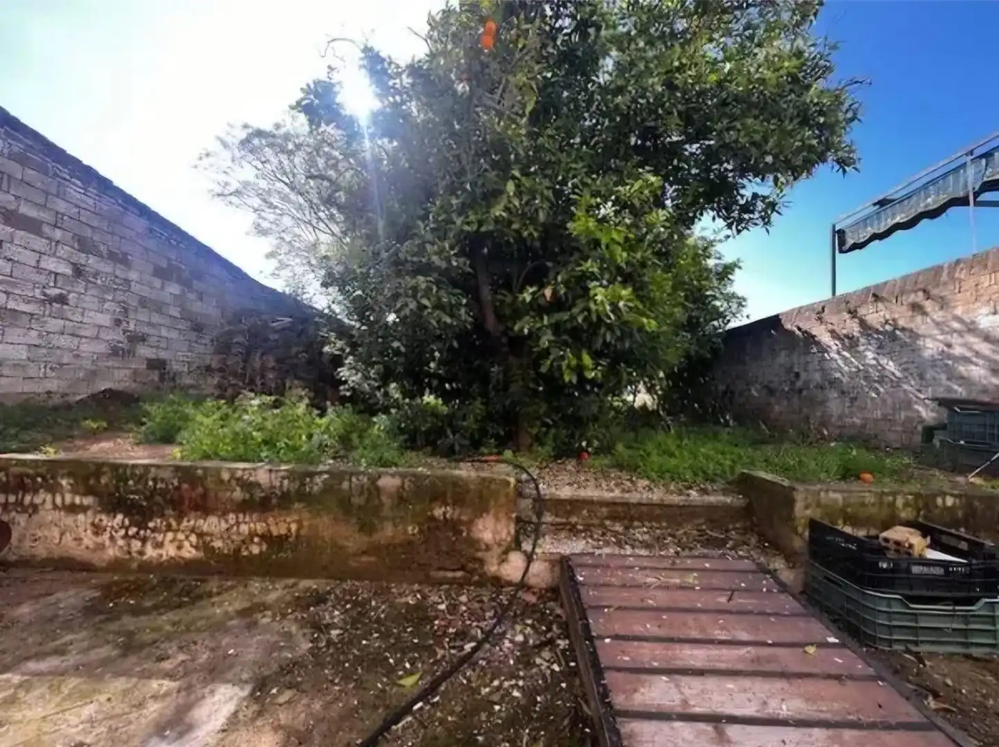 Casa in vendita a Olivares, imagen 3