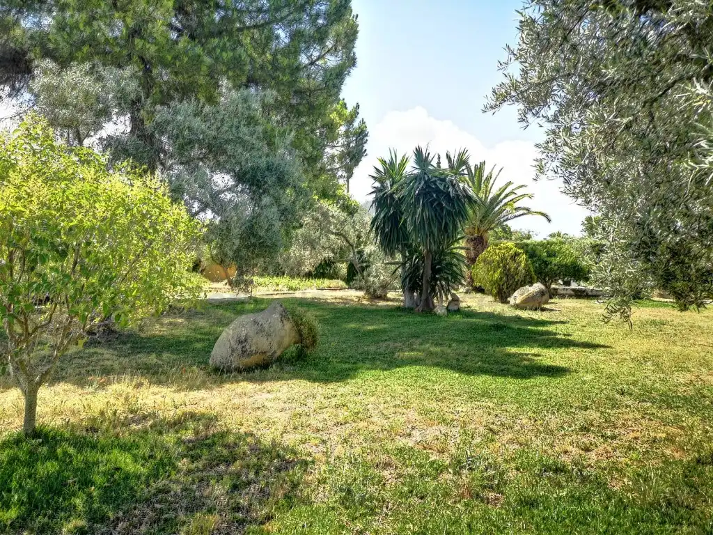Casa rústica en venta en Arriate, imagen 55