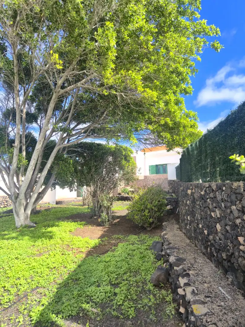 Casa o xalet en venda a Calle Antoñita Melian, 8, La Oliva pueblo