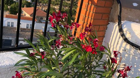 Foto 3 de Casa adosada en venta en Fiñana, Almería