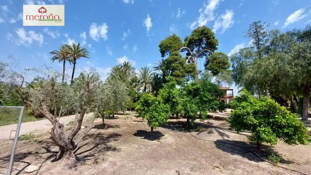 Casa o xalet en venda en Elche / Elx amb Aire condicionat, Jardí privat i Terrassa