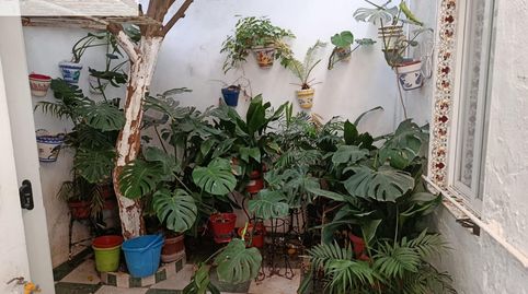 Foto 5 de Casa o chalet en venta en Las Tinajerías - Juderías, Lucena