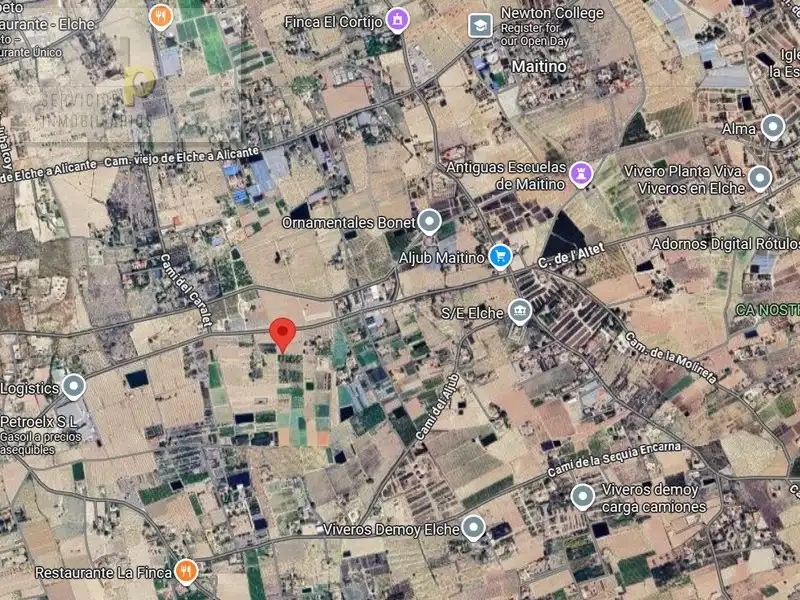 Grundstücke zur Miete in Elche / Elx