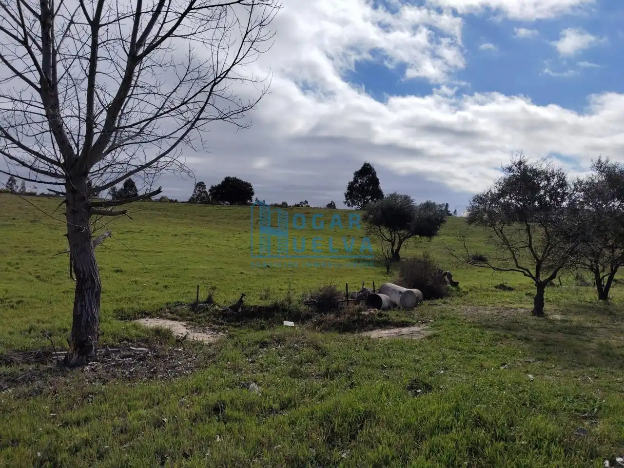 Finca rústica en venda en Bollullos Par del Condado amb Terrassa