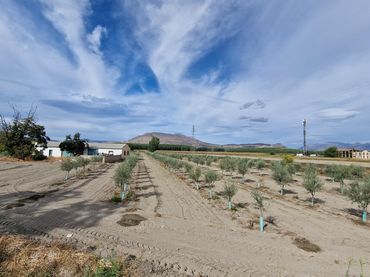 Rural land for sale in CTRA SANTA FE A EL JAU