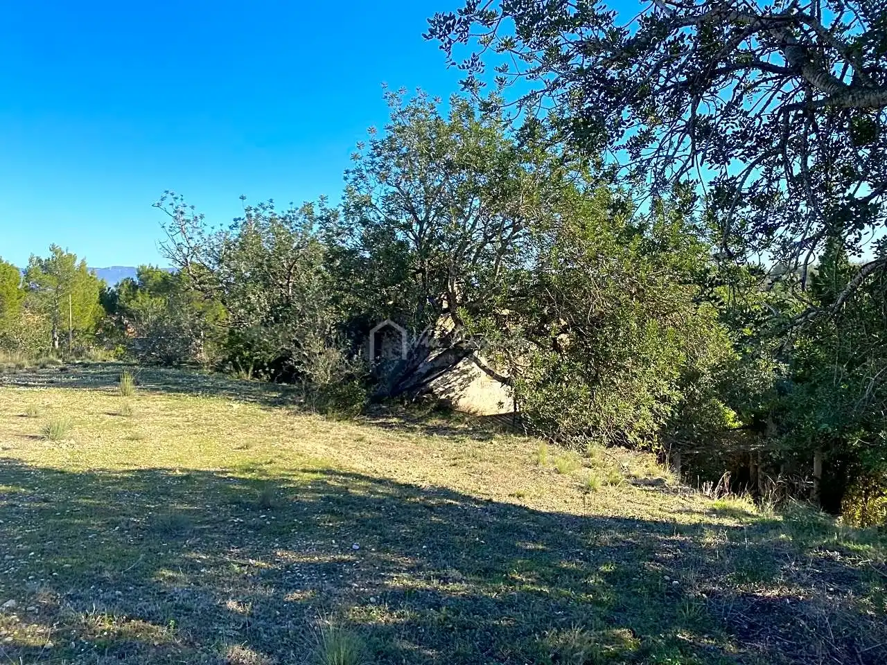 Terreno rustico in vendita a Pas de Berenguer, imagen 20