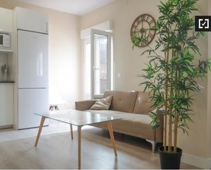 Living room of Flat to rent in  Madrid Capital  with Air Conditioner, Heating and Furnished