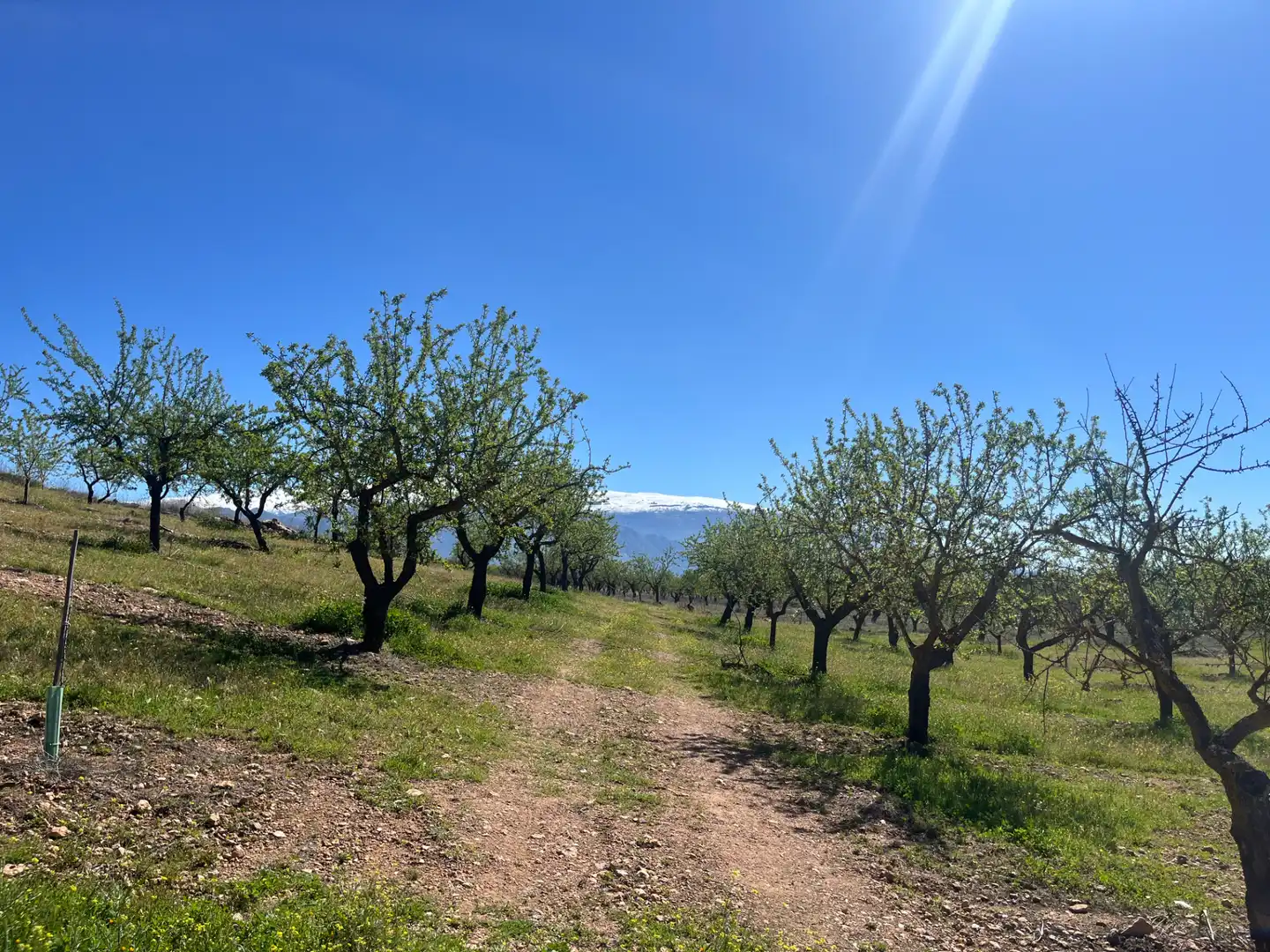 Rustikales Grundstück zum Verkauf in Camino de la Sierra, imagen 4