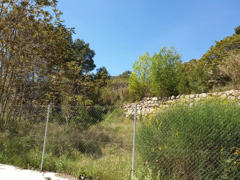 Rustikales Grundstück zum Verkauf in Ps Sant Lluis, imagen 9