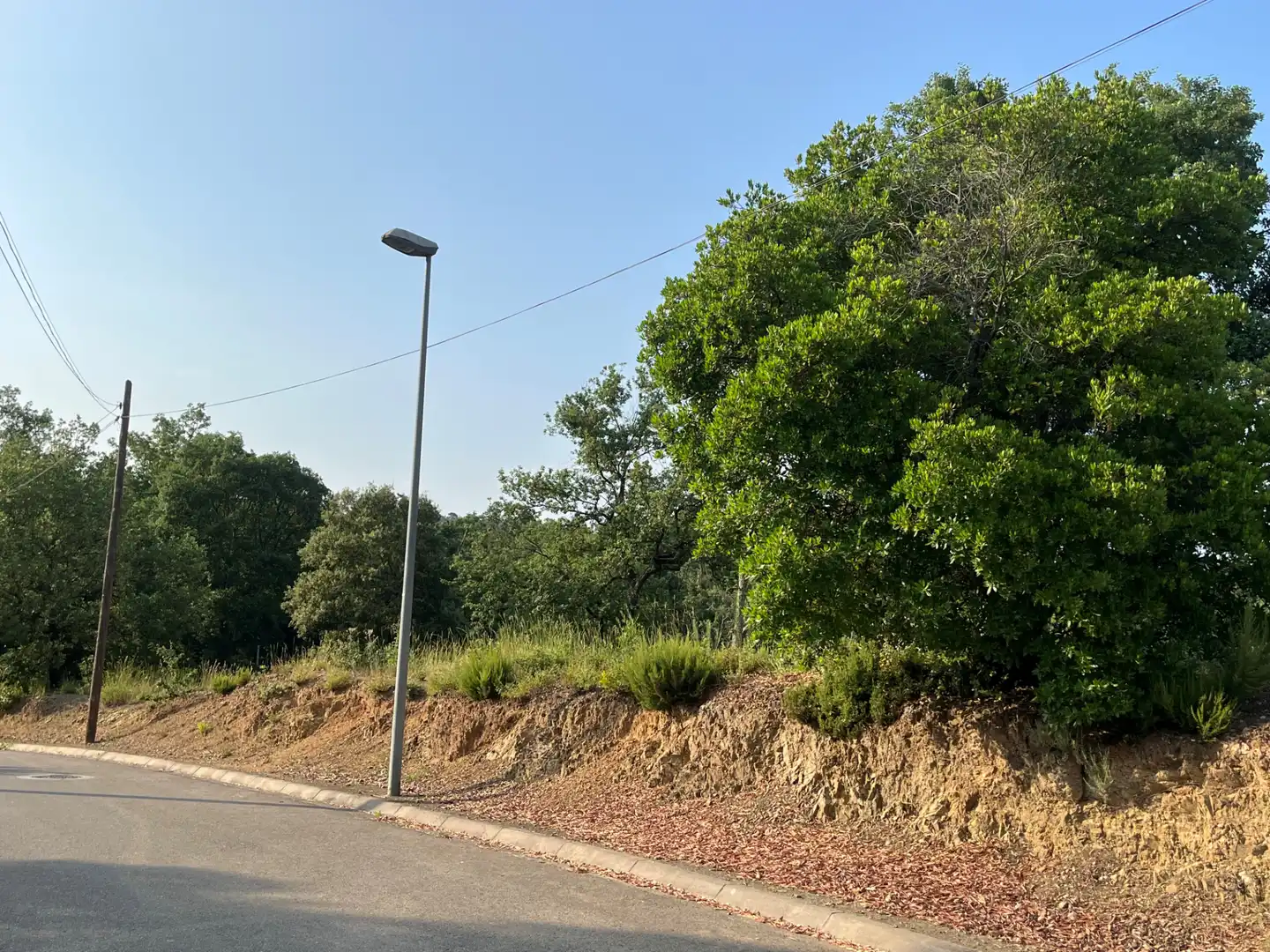 Terrain résidentiel à vendre à Carrer del Baix Penedès 221, imagen 3