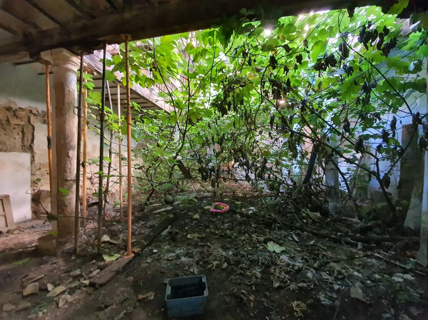 House with garden for sale in Plaza San Pedro, imagen 19