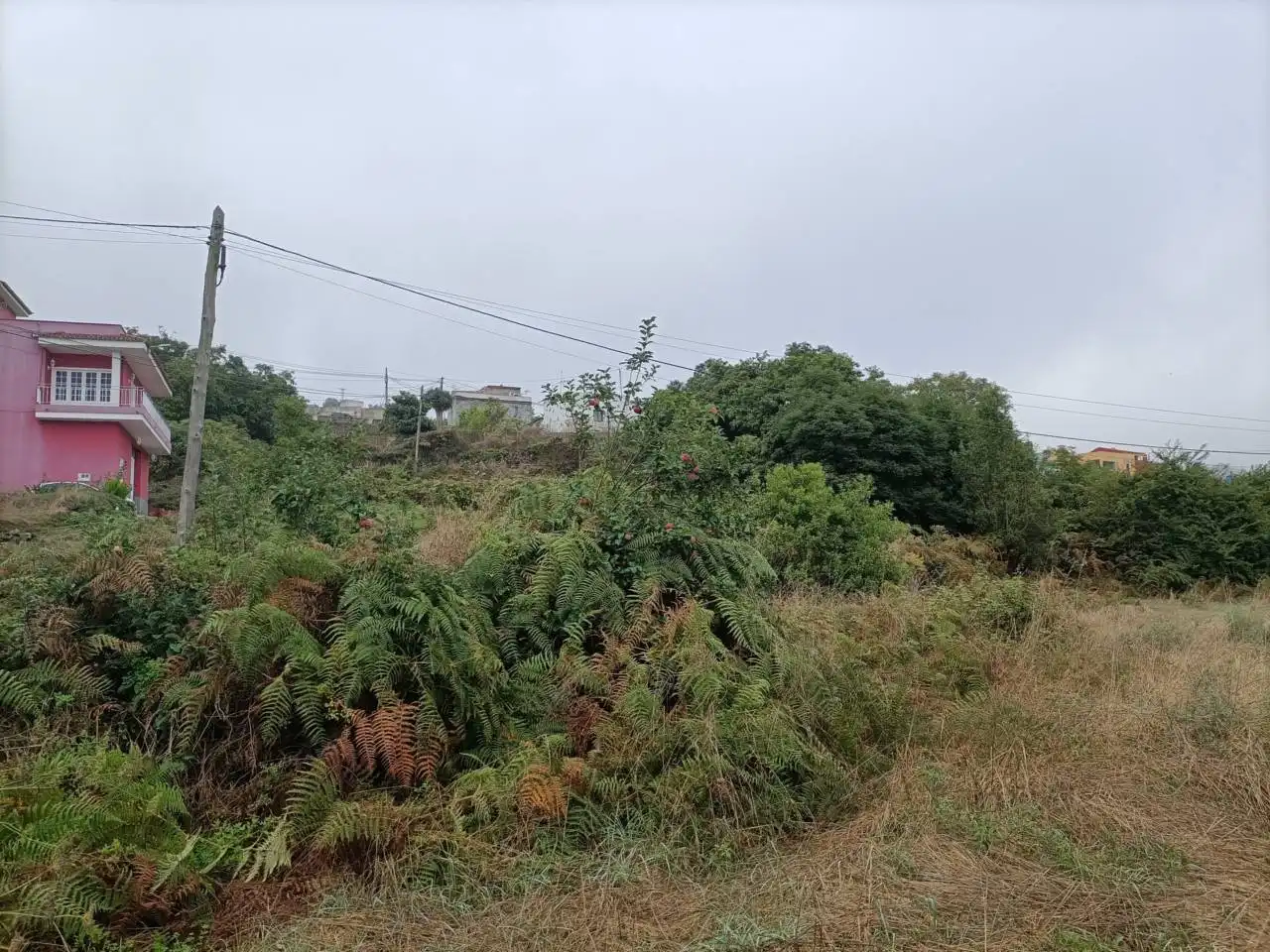 Terreno en venta en Los Realejos