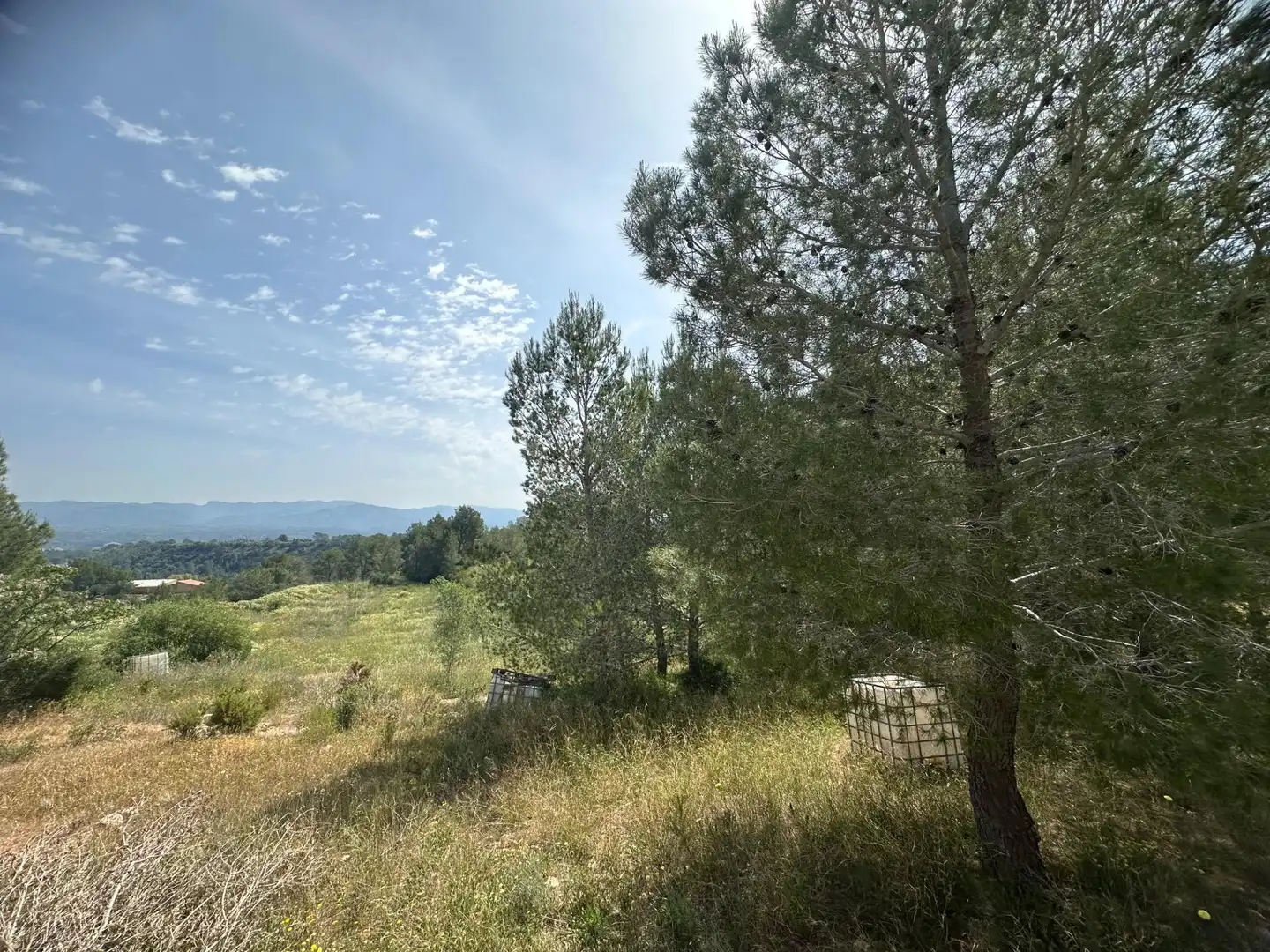 Country house for sale in Aldover, imagen 28
