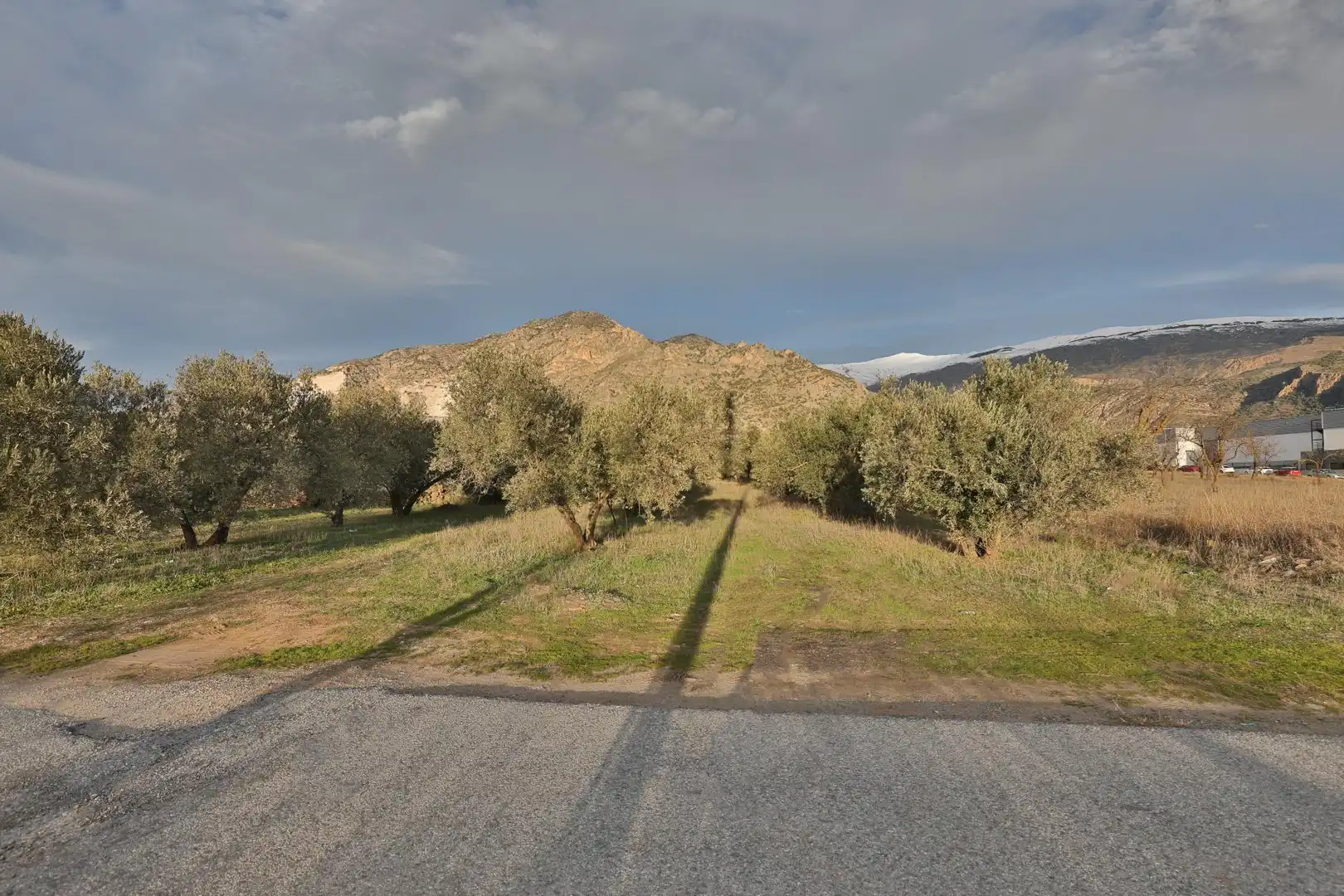 Terreny industrial en venda en Nigüelas