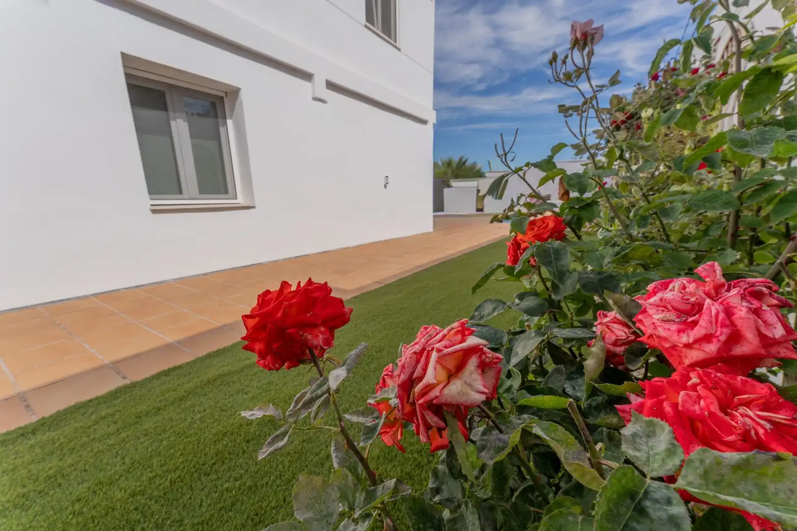 Jardín de Casa o chalet en venta en Petrer con Aire acondicionado, Calefacción y Jardín privado
