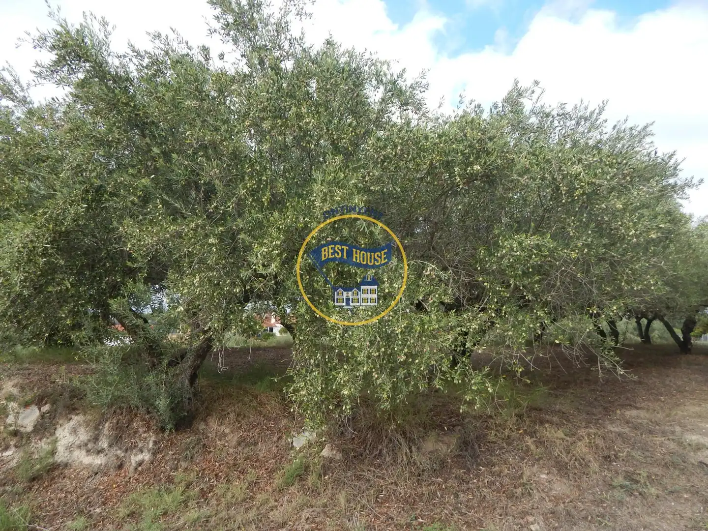 Villa avec jardin à vendre à Sant Josep - Zona Hospital, imagen 6