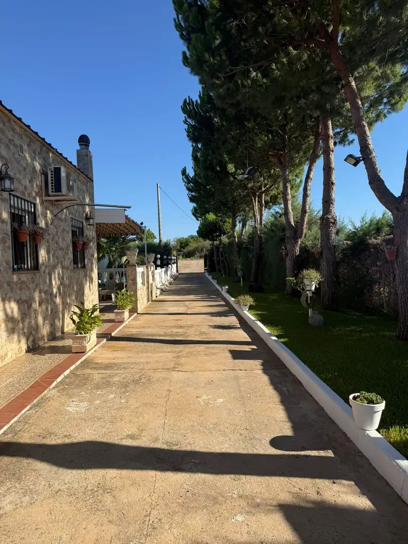 Jardín de Finca rústica en venta en Arroyo de San Serván con Aire acondicionado, Jardín privado y Trastero