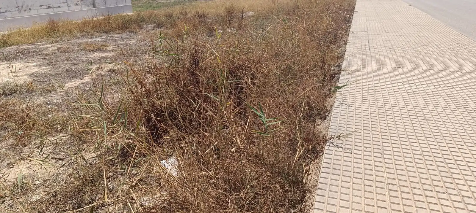 Terreno residenziale in vendita a Camino de la Monsina, imagen 4