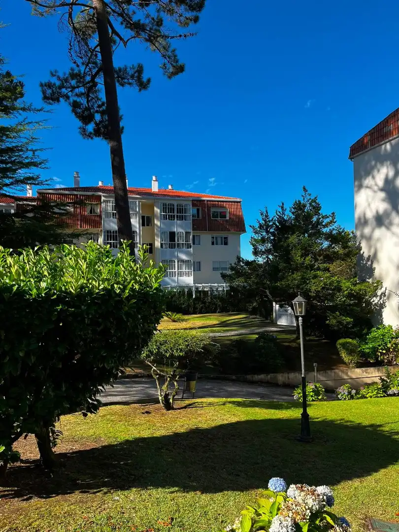 Vista exterior de Àtic en venda en O Grove   amb Jardí privat, Parquet i Piscina