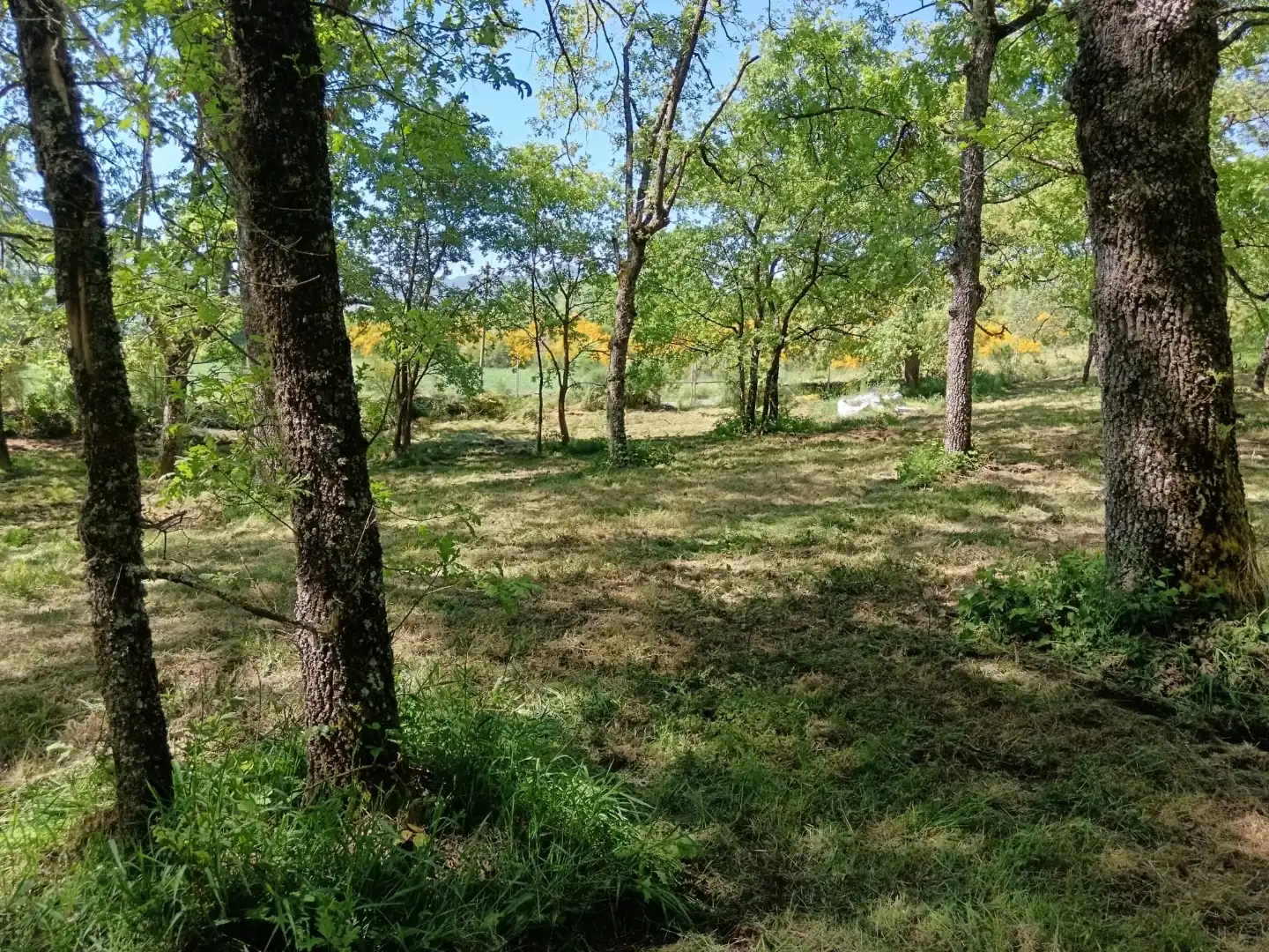 Terreno en venta en Baltar