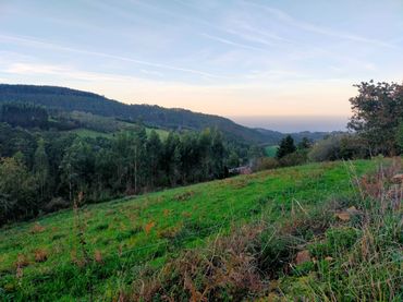 Terreni e lotti in vendita a Pravia