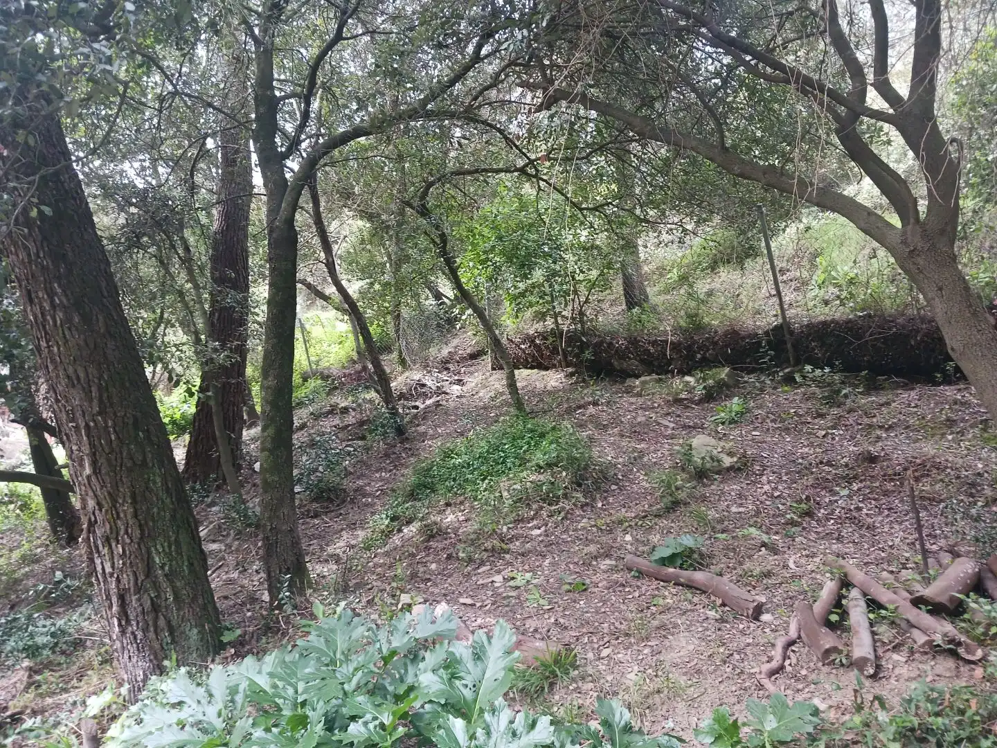 Residencial en venta en Molins de Rei, Barcelona