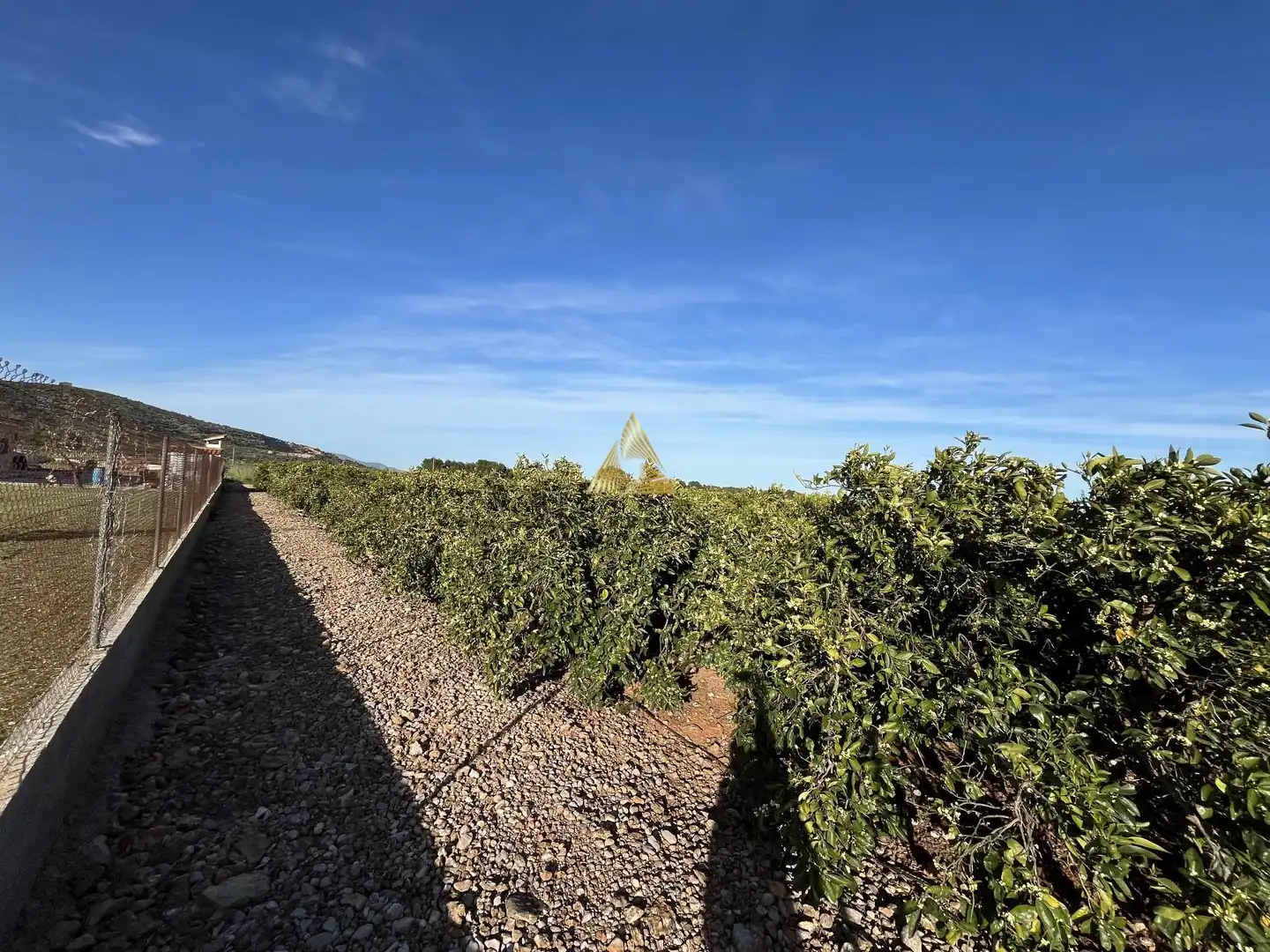 Terrenos y solares en venta en Pueblo, imagen 20