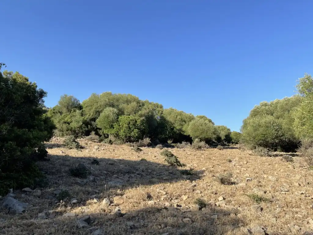 Country homes for sale in Castellar de la Frontera  with Private garden