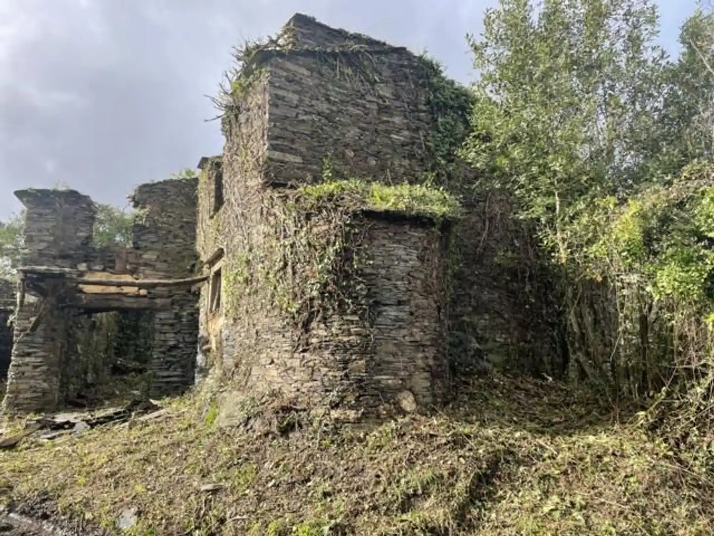 Vista exterior de Finca rústica en venta en Ortigueira con Jardín privado y Terraza