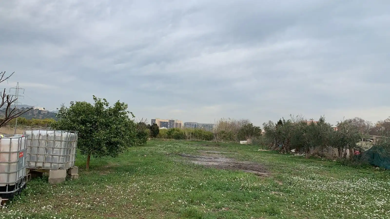 Terreno rustico in vendita a Sagunto ciudad