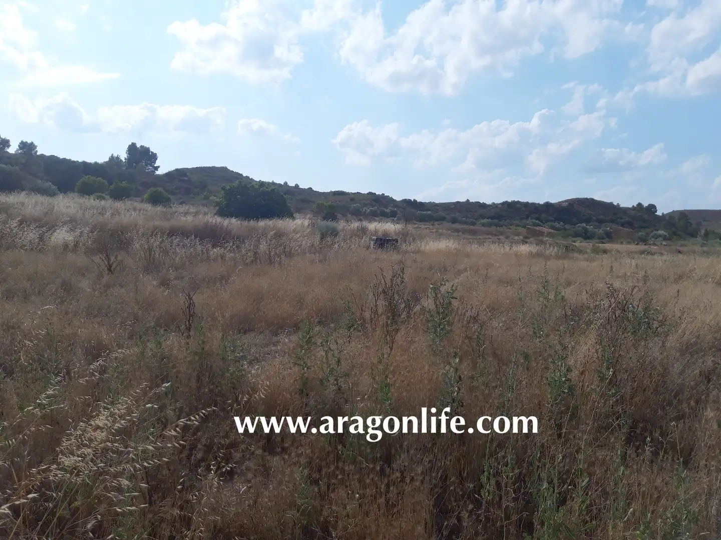 Terreni e lotti in vendita a Fabara, imagen 4