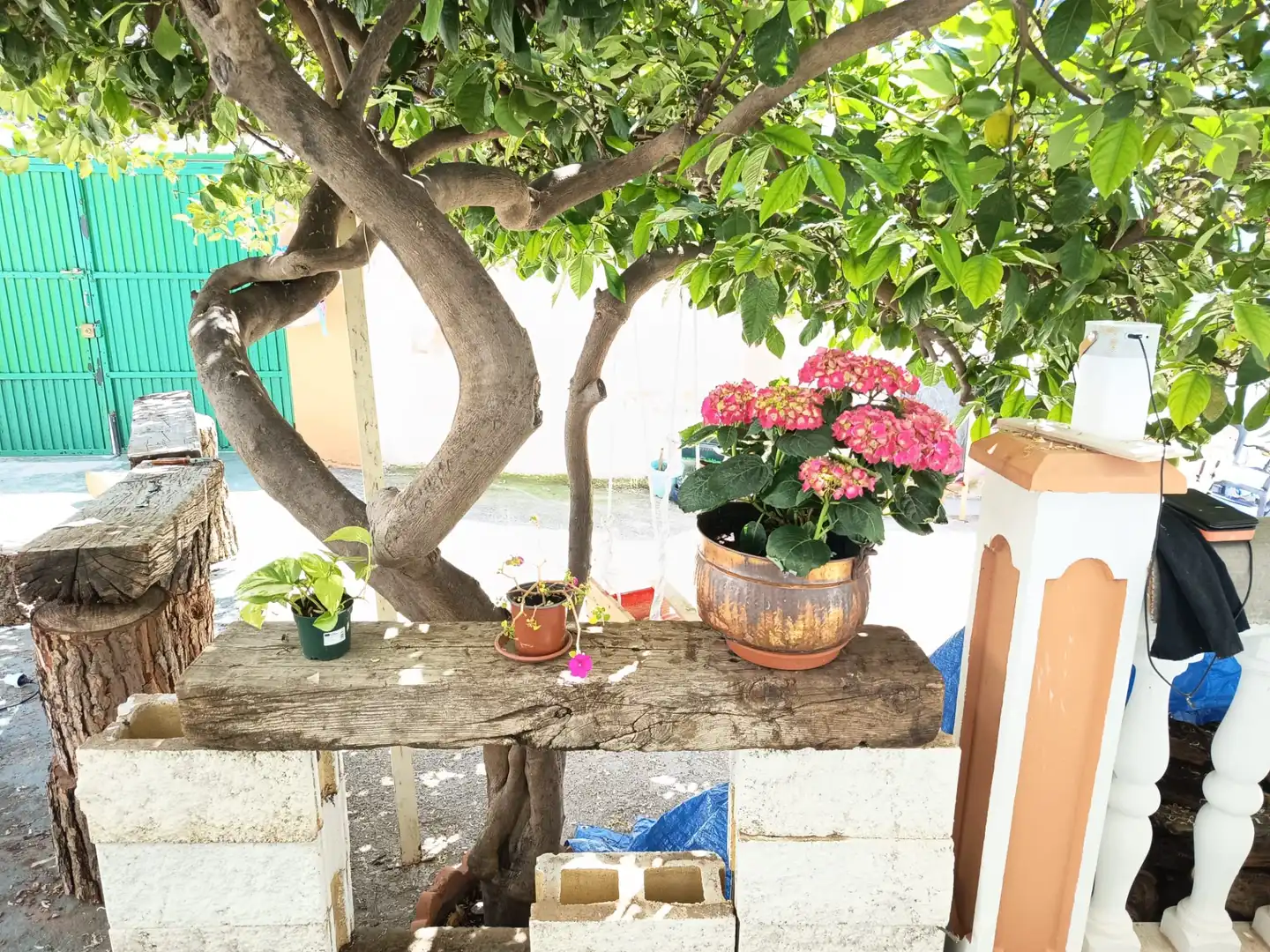 Casa amb jardí en venda a Calle la Maltesa, imagen 19