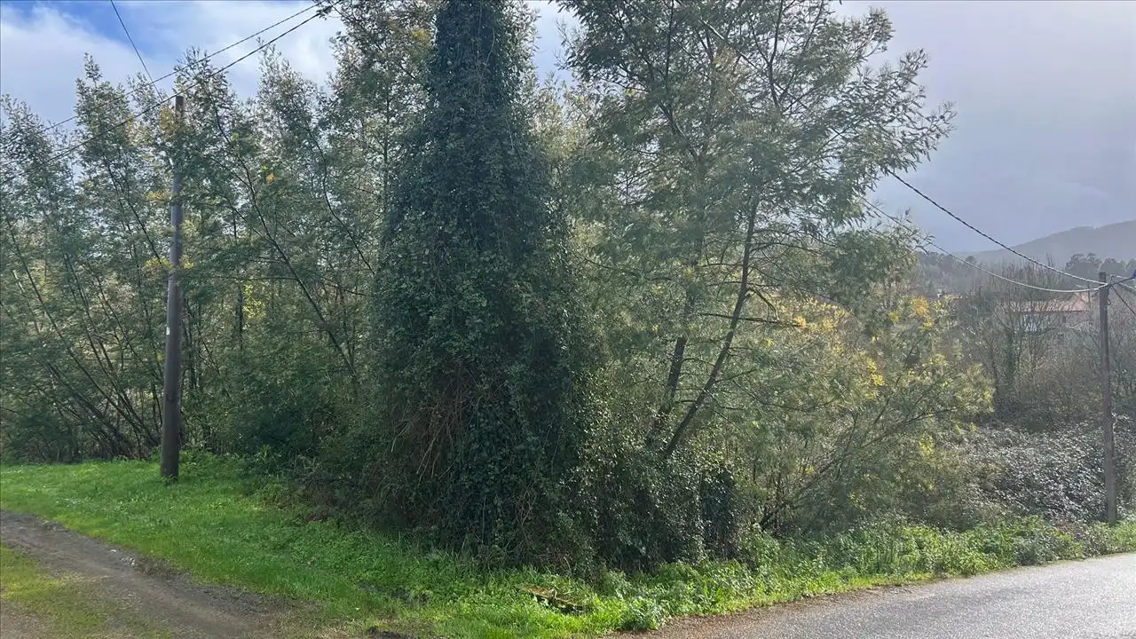 Terreni e lotti in vendita a Casal Arriba, imagen 5