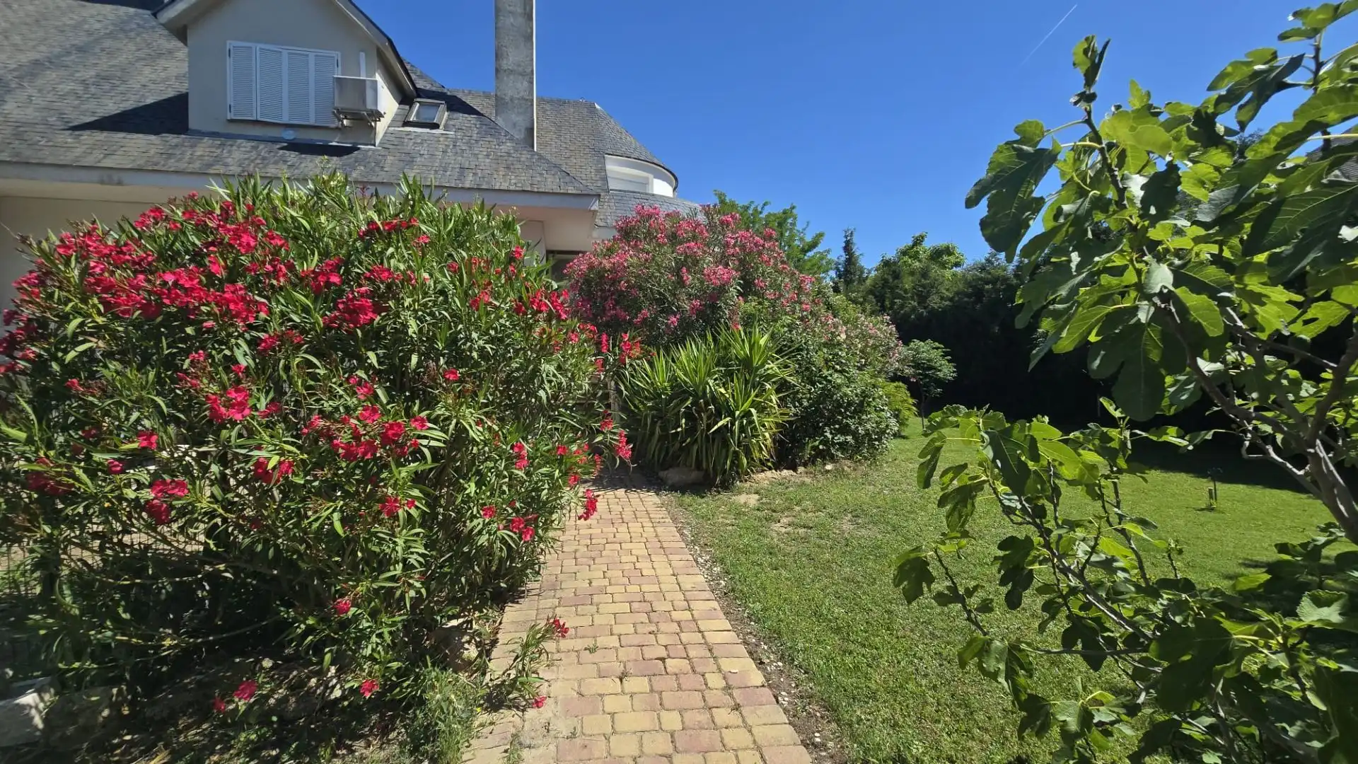Jardín de Casa o chalet en venta en Illescas con Aire acondicionado, Calefacción y Jardín privado