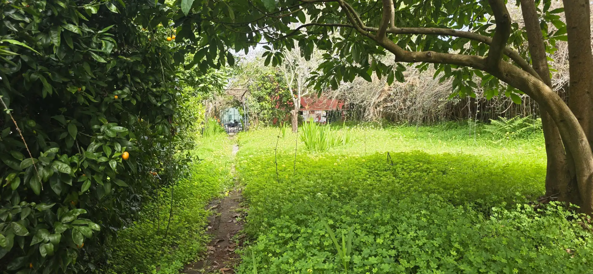 Casa rustica con giardino in vendita a Calle Vereda del Señor 117, imagen 60