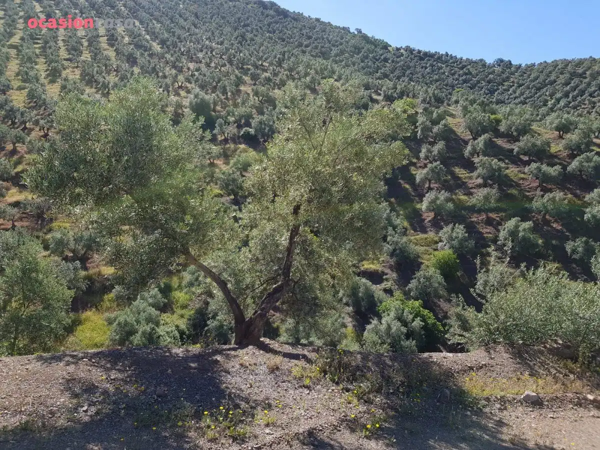 Finca rústica en venta en Villanueva de Córdoba con Jardín privado, Trastero y Amueblado