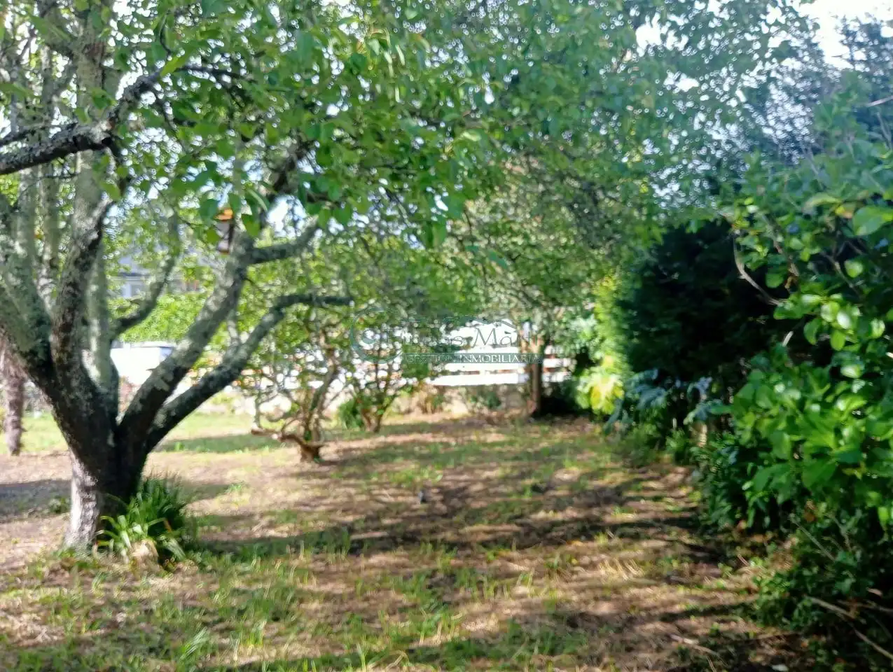 Casa o chalet en venta en Vigo  con Calefacción, Jardín privado y Terraza