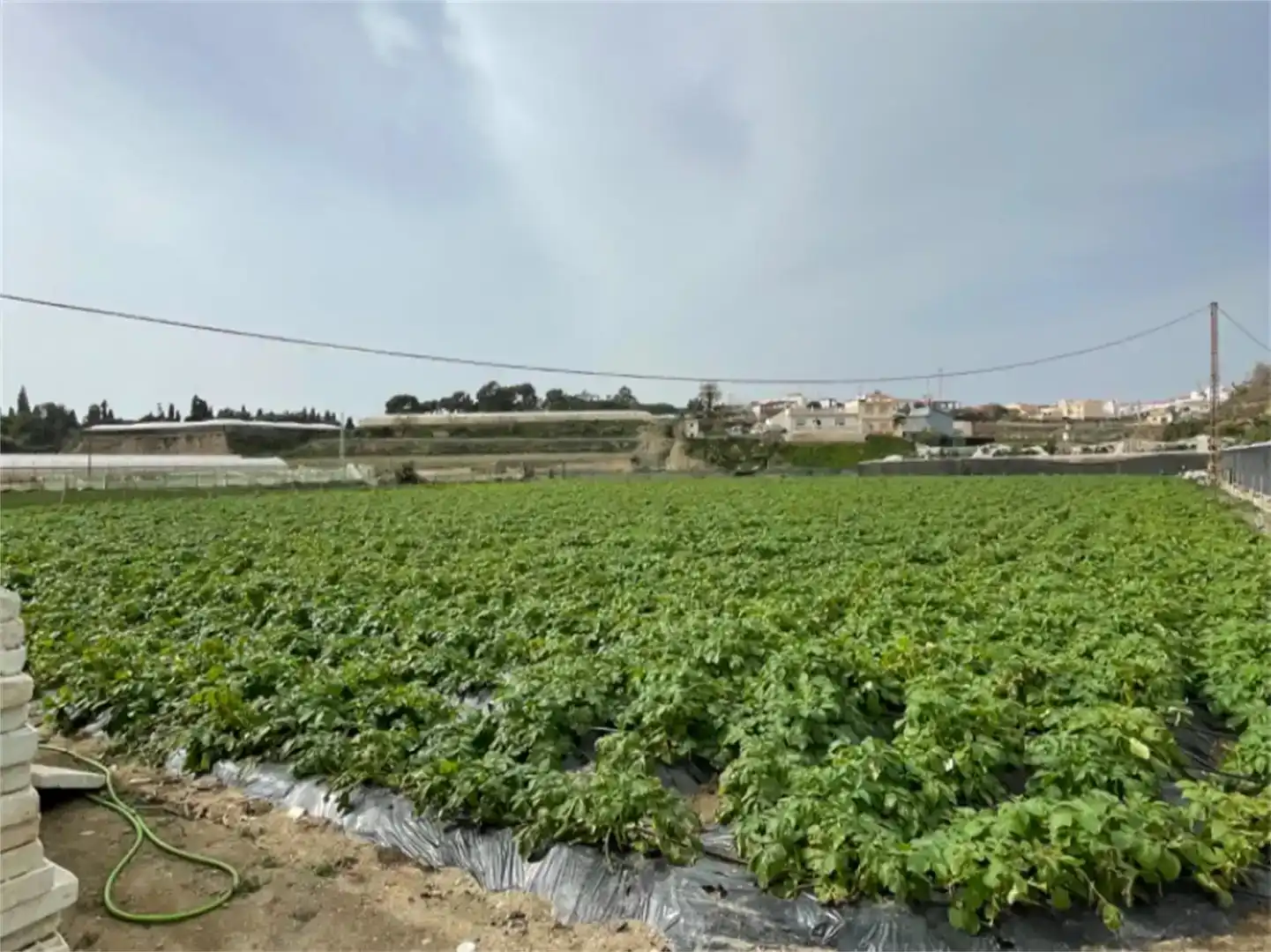 Finca rústica en venda en Algarrobo