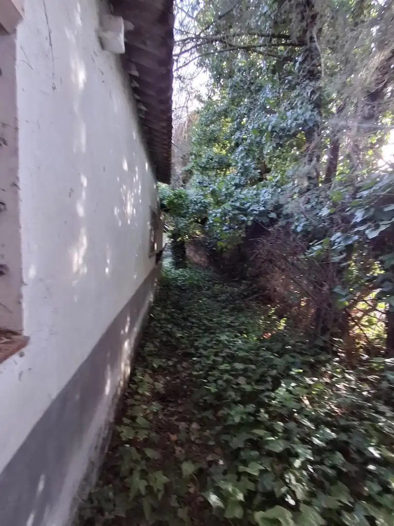 Houses for rent in Pezuela de las Torres