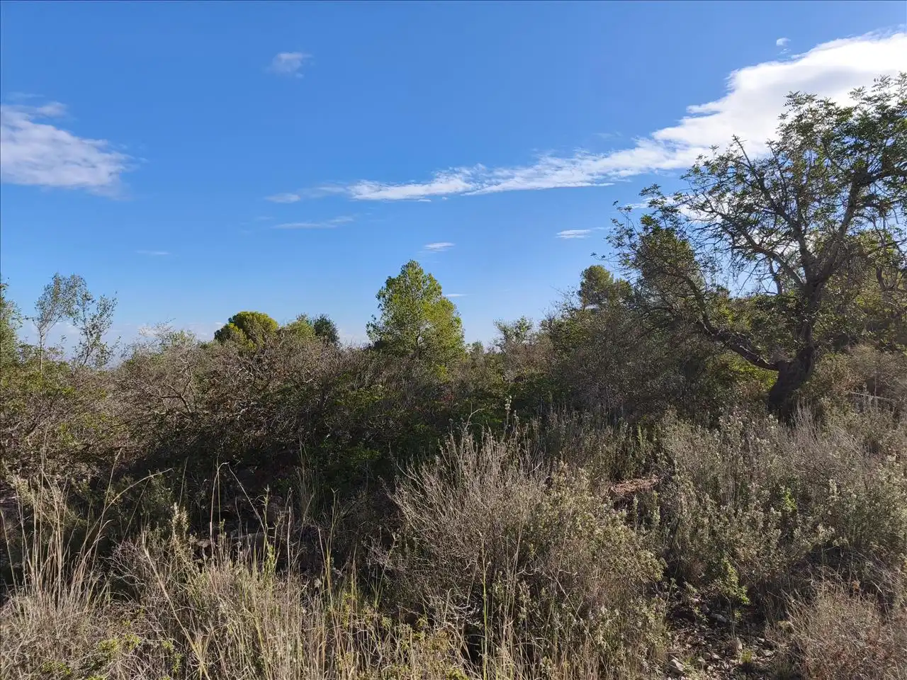 Terreno en venta en El Ràfol d'Almúnia